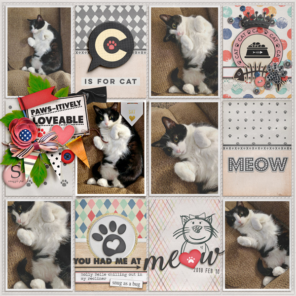 Pawsitively Loveable