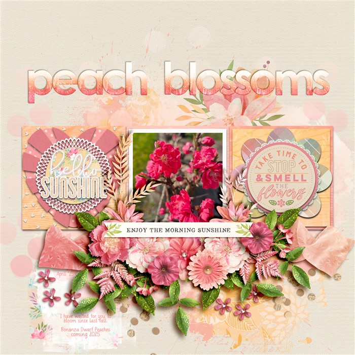 Peach Blossoms