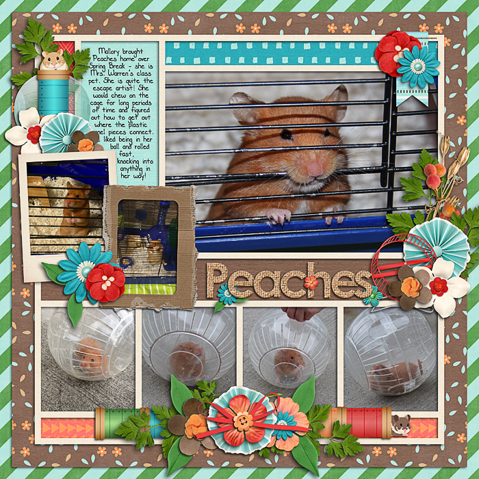 Peaches