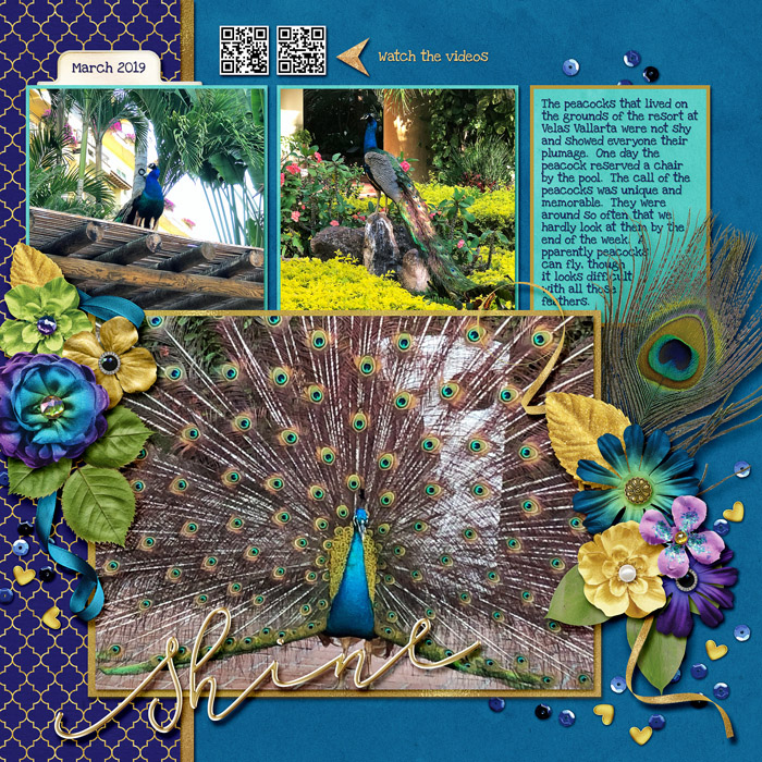 Peacock Shine