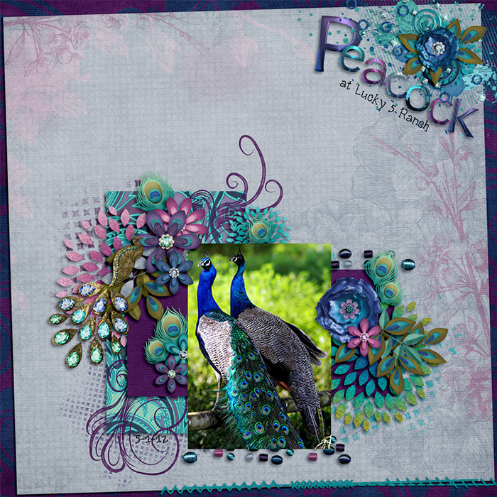 Peacock
