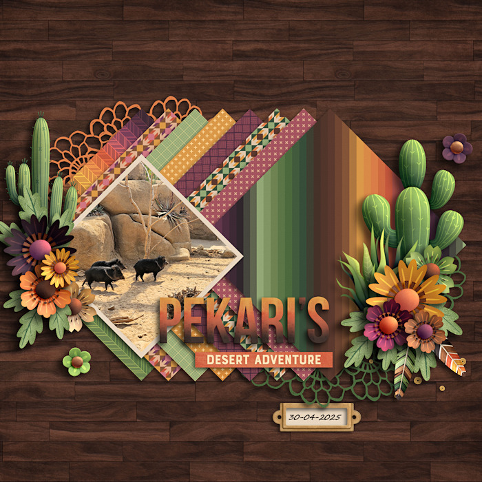 Pekari's