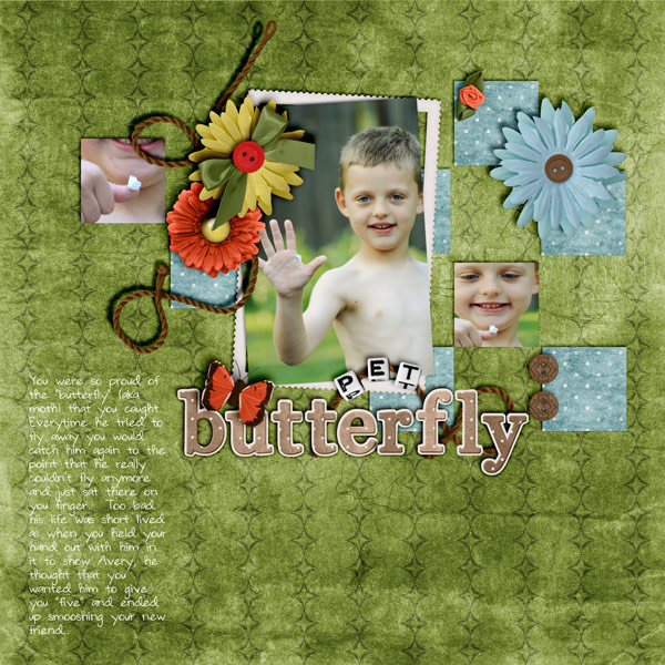 Pet Butterfly