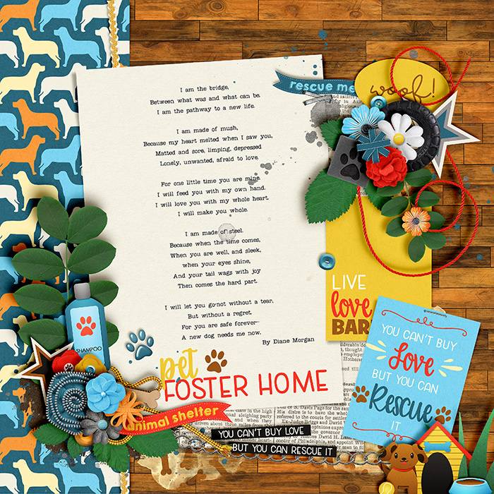 Pet foster