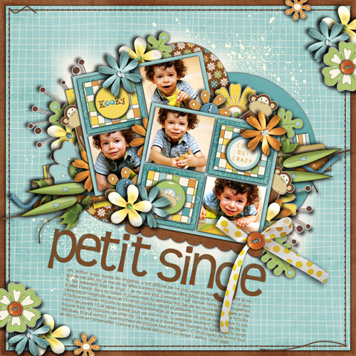 Petit Singe