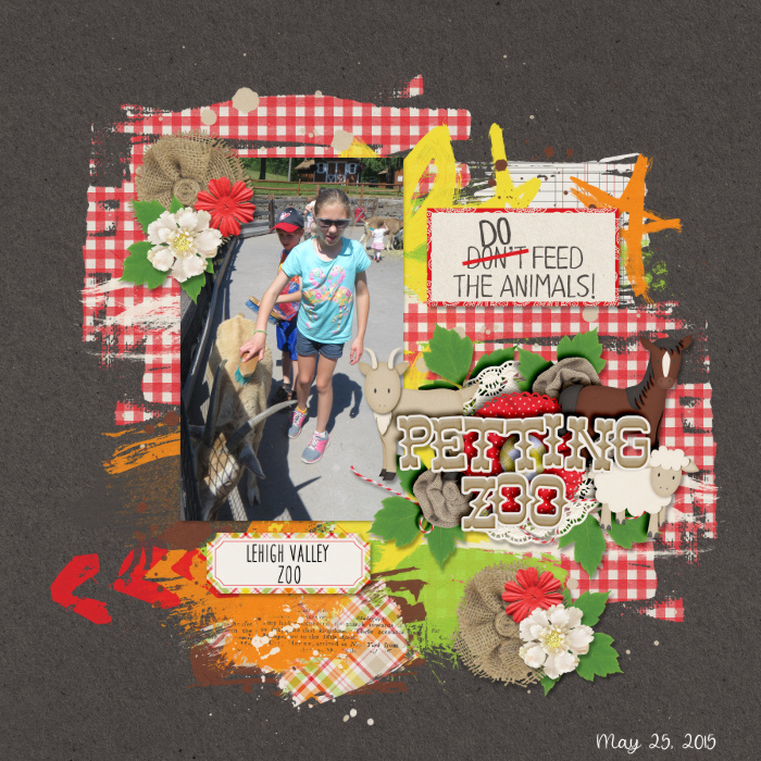 Petting Zoo {Lehigh Valley Zoo}