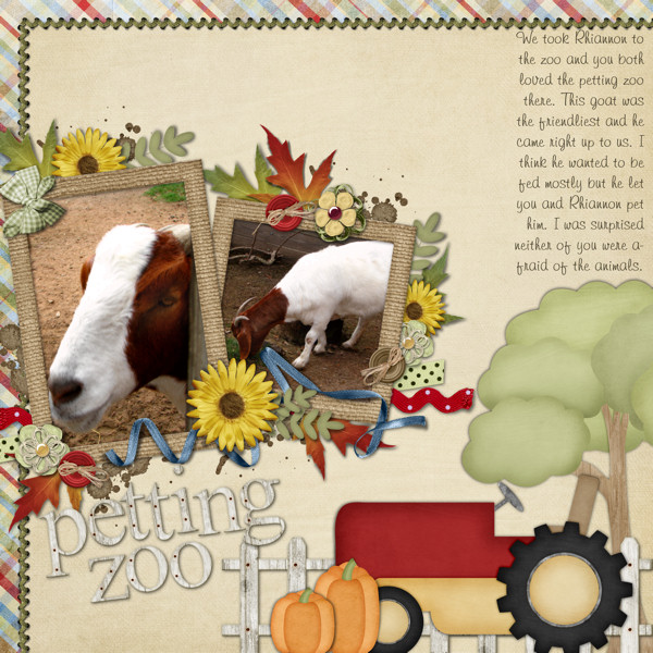 Petting Zoo