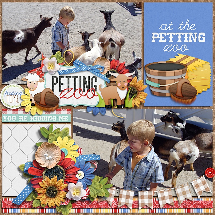 Petting zoo
