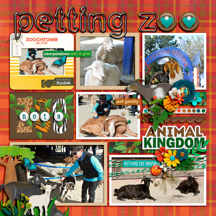 petting zoo