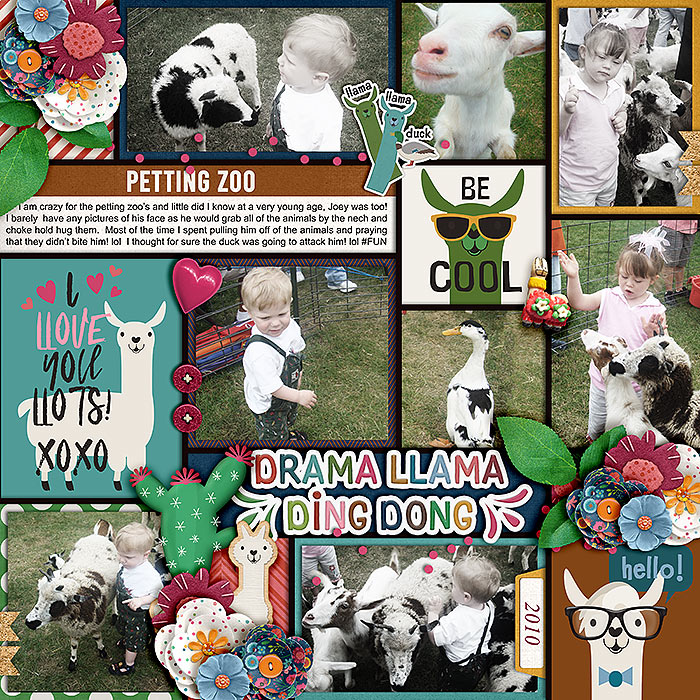 Photo Palooza 22