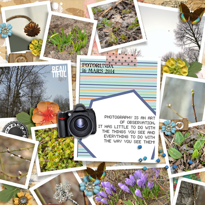 Photo walk