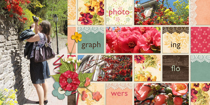 Photographing flowers