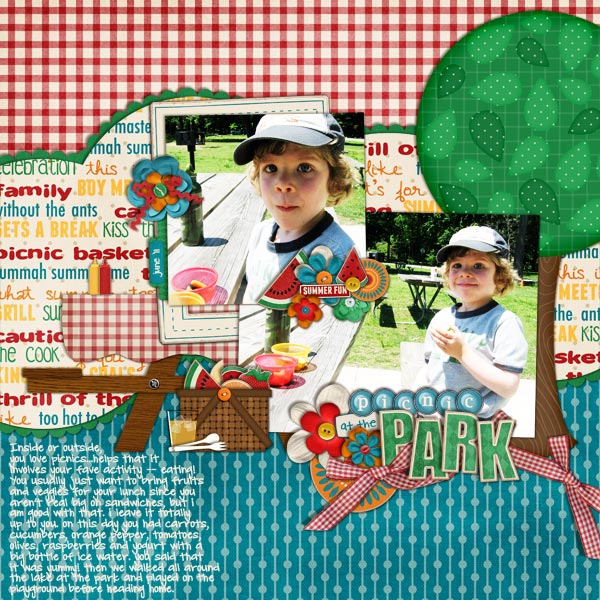 picnic at the park