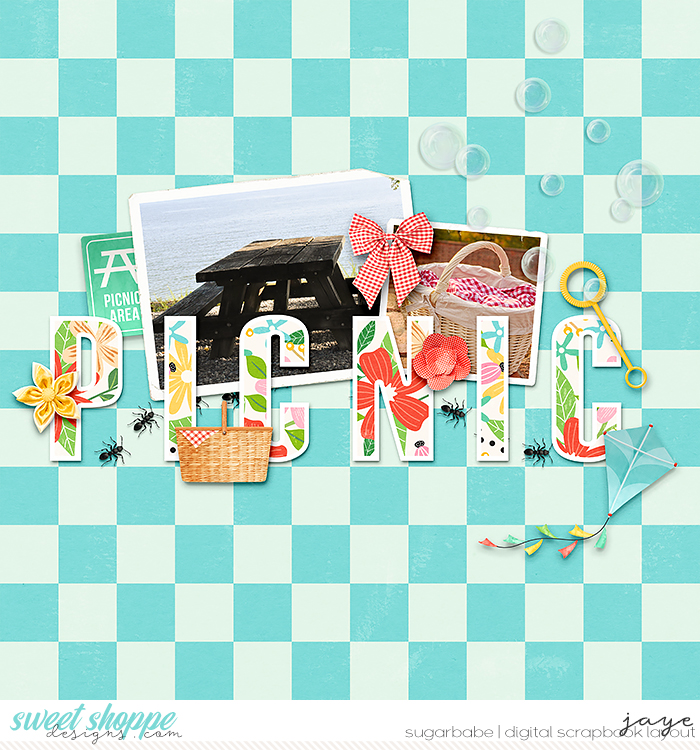 Picnic Fun
