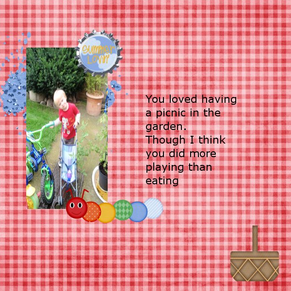 picnic1