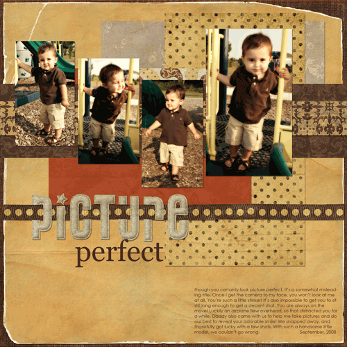 Picture Perfect