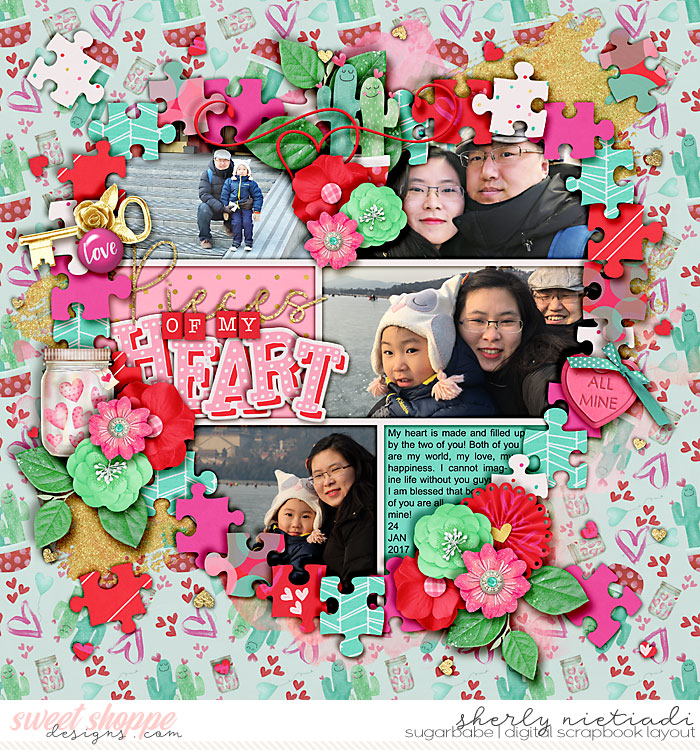 Pieces of my heart