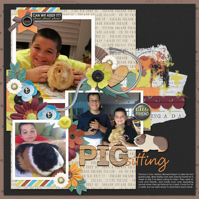 Pig Sitting