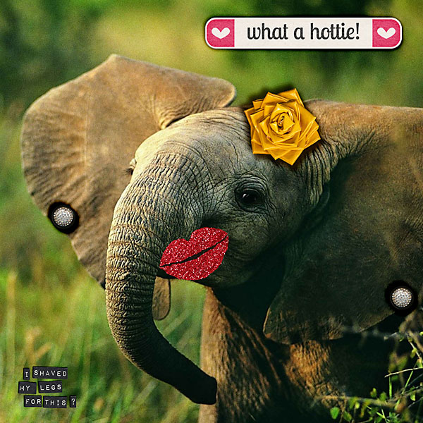 Pimp my pachyderm