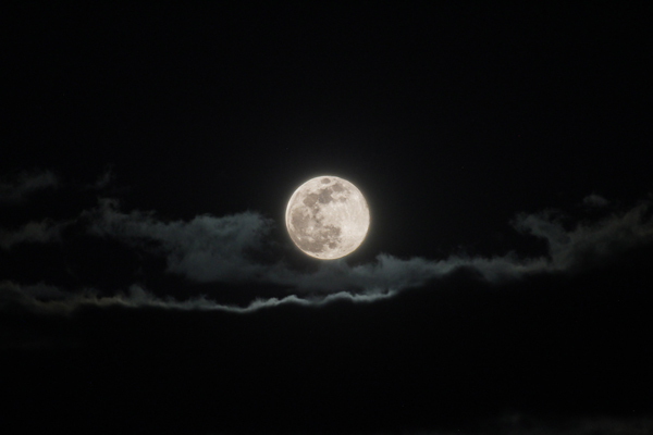 Pink moon