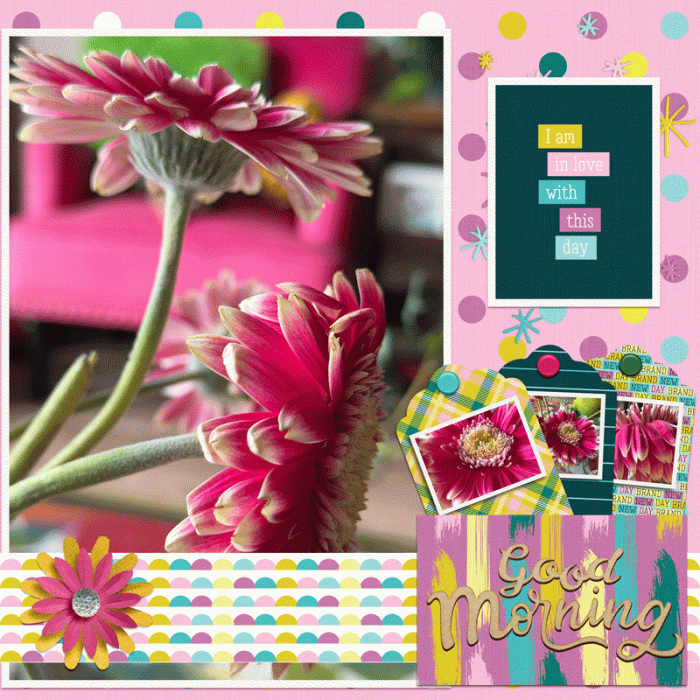 Pink Posies