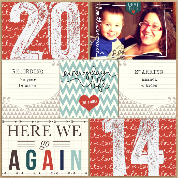 PL 2014 Cover