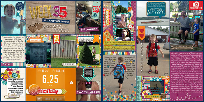 PL 2014 - Week 35
