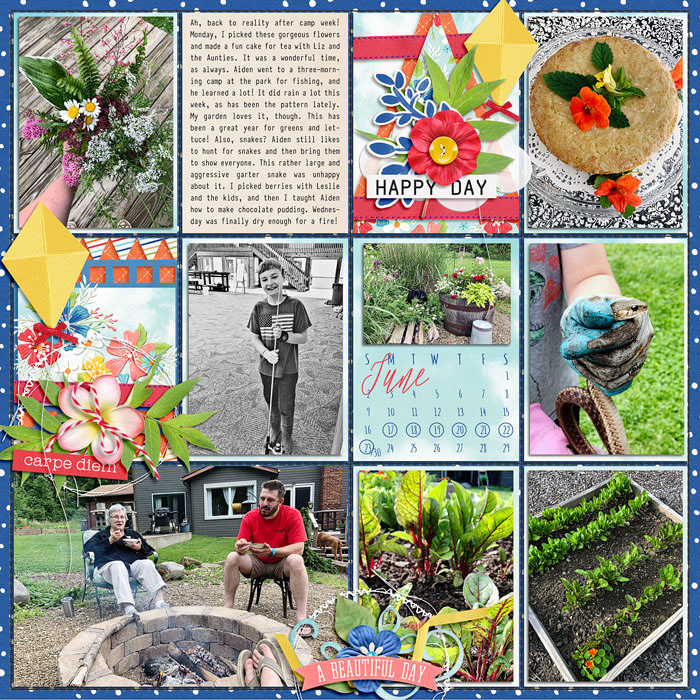 PL 25 week 01