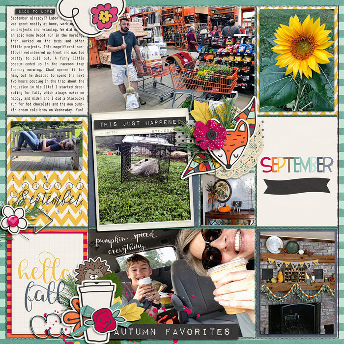 PL 36 week 01