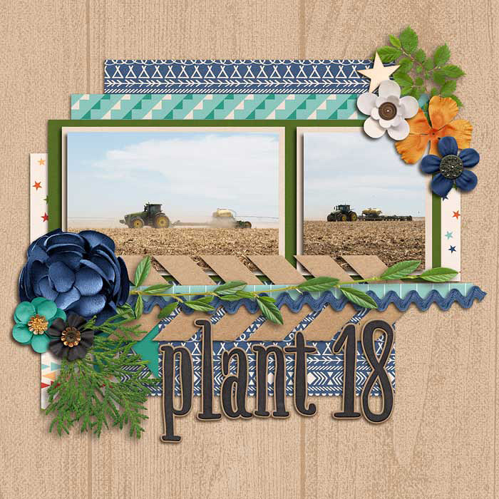 Plant 18