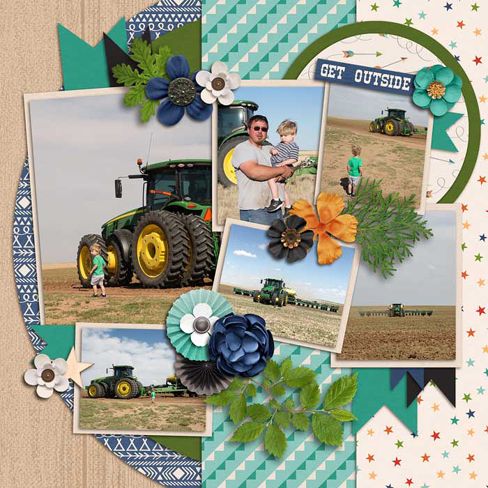 Plant 18
