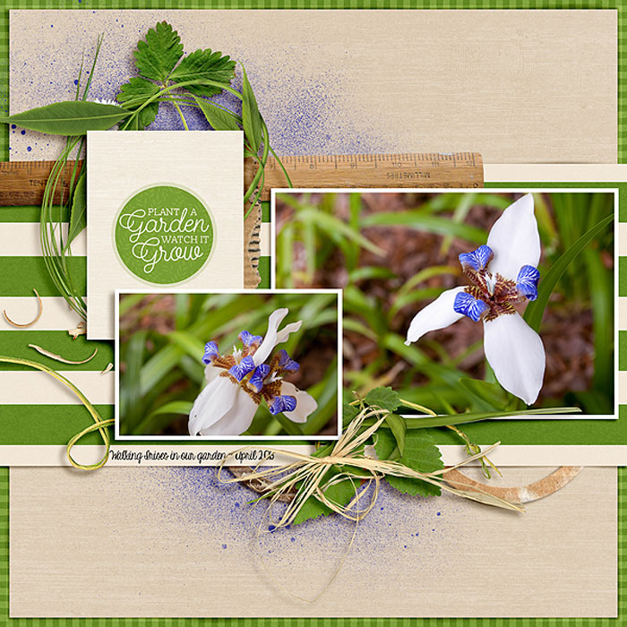 Plant A Garden