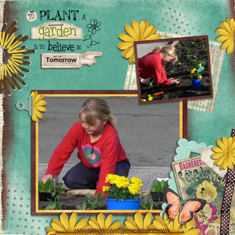 Plant a garden