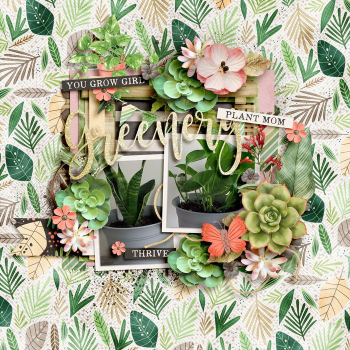 Plant Life