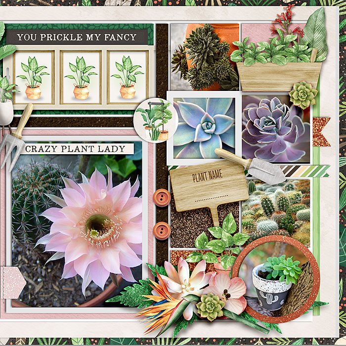 #plant life