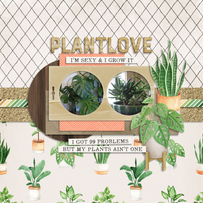 Plant Love