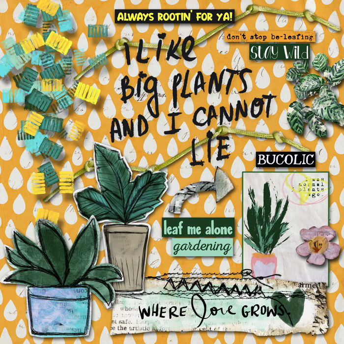 Plant Smiles