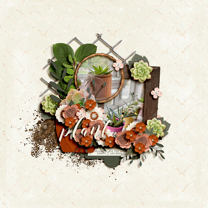 Plant