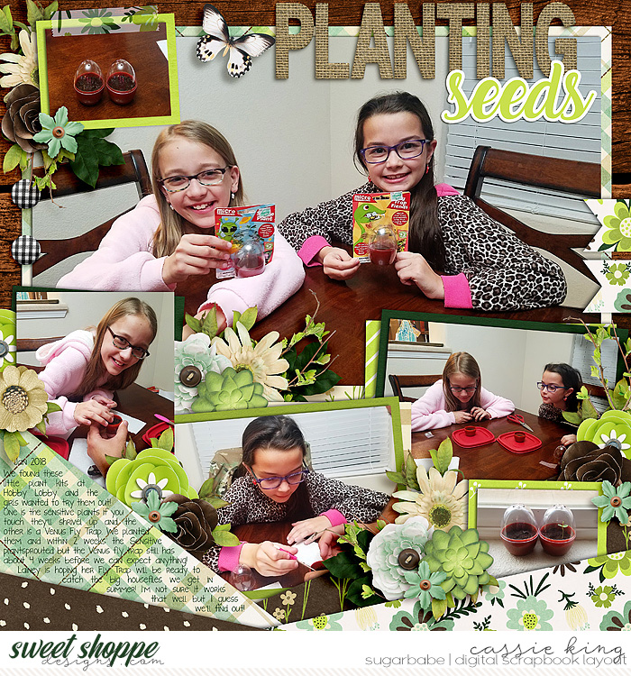 Planting Seeds