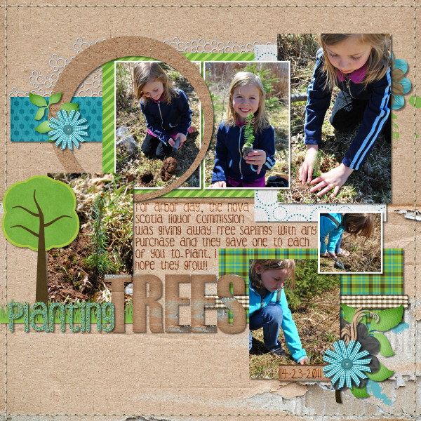Planting Trees