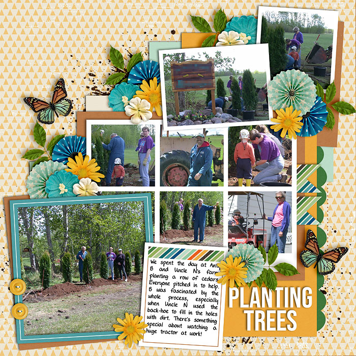 Planting Trees