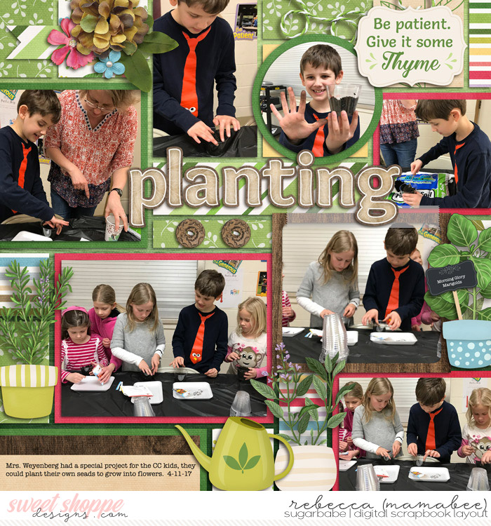 planting