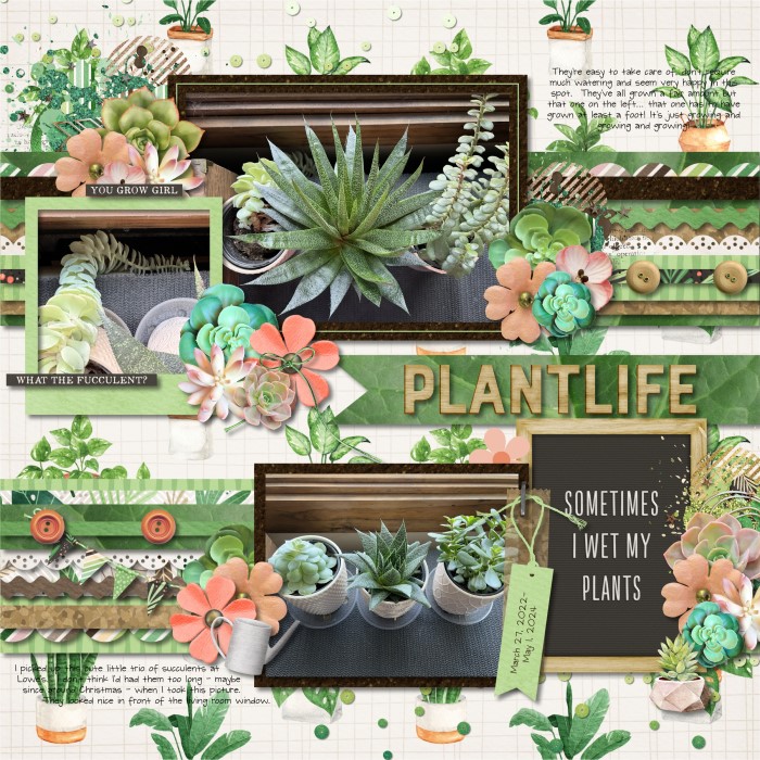 Plantlife