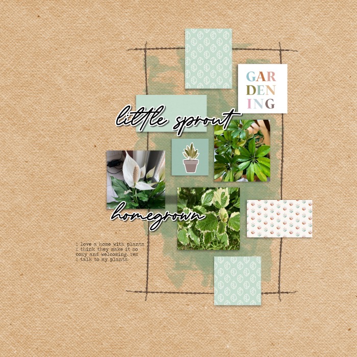Plants make a home