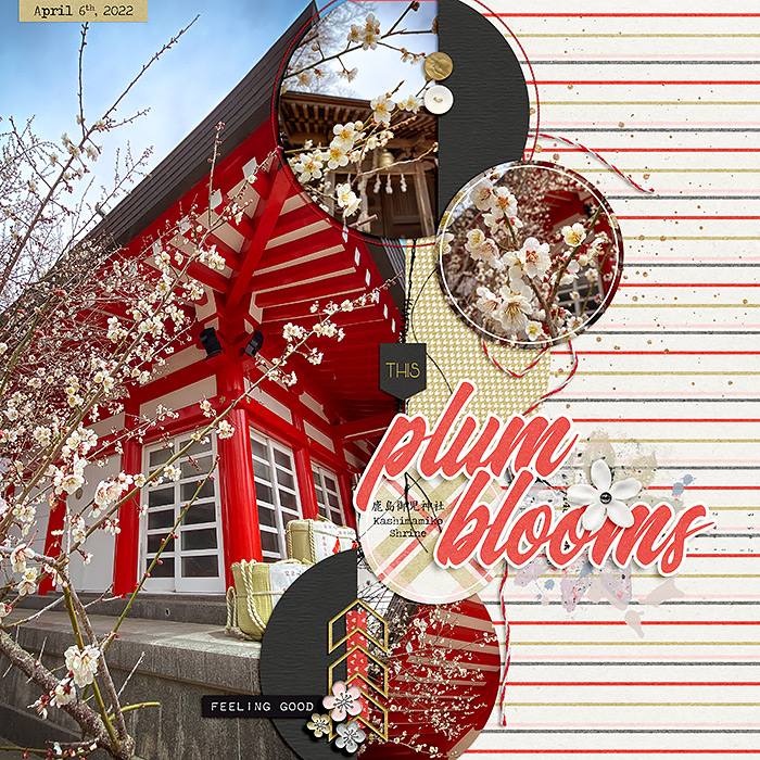 Plum Tree