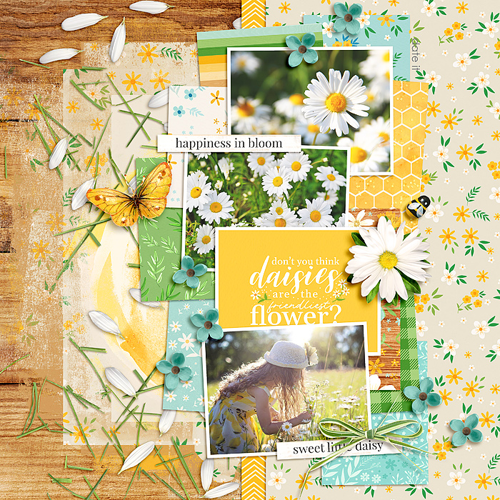 Pocketful of Daisies