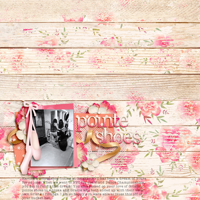 Pointe Shoes