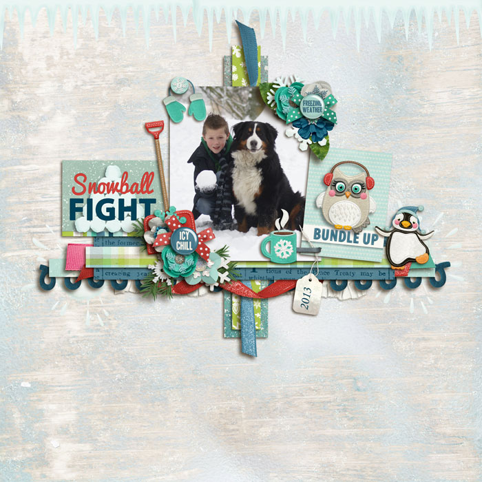 Polar Vortex