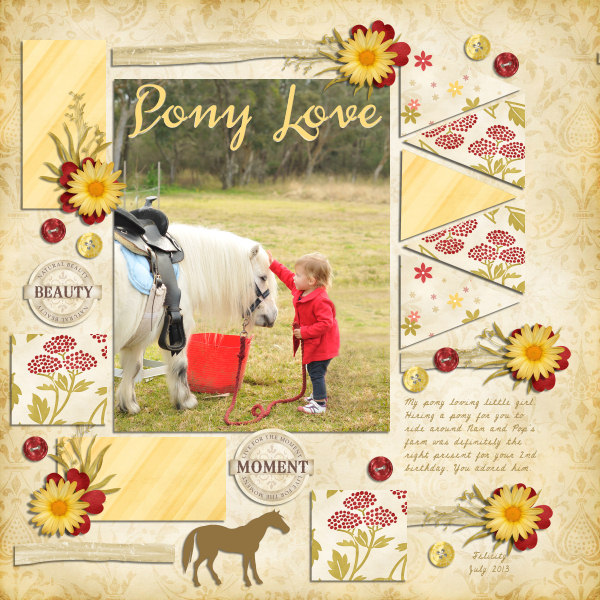 Pony Love