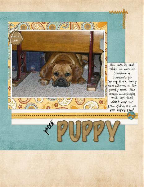 Poor Puppy